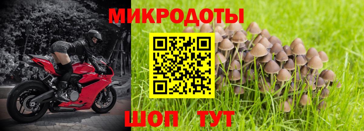 Псилоцибиновые грибы Cubensis Южноуральск