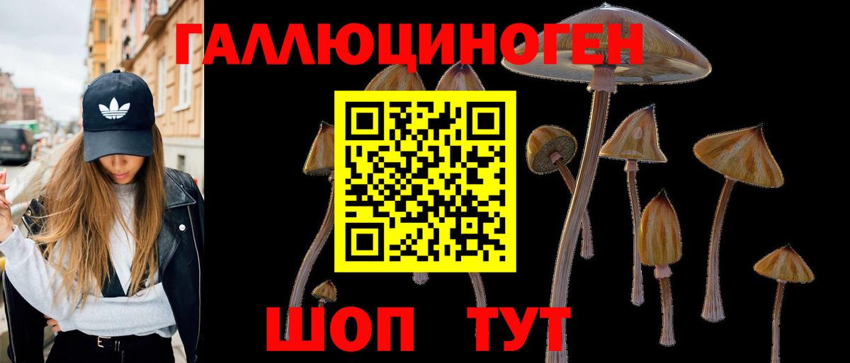 Псилоцибиновые грибы мухоморы  Вход с VPN  Южноуральск 